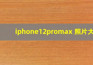 iphone12promax 照片大小